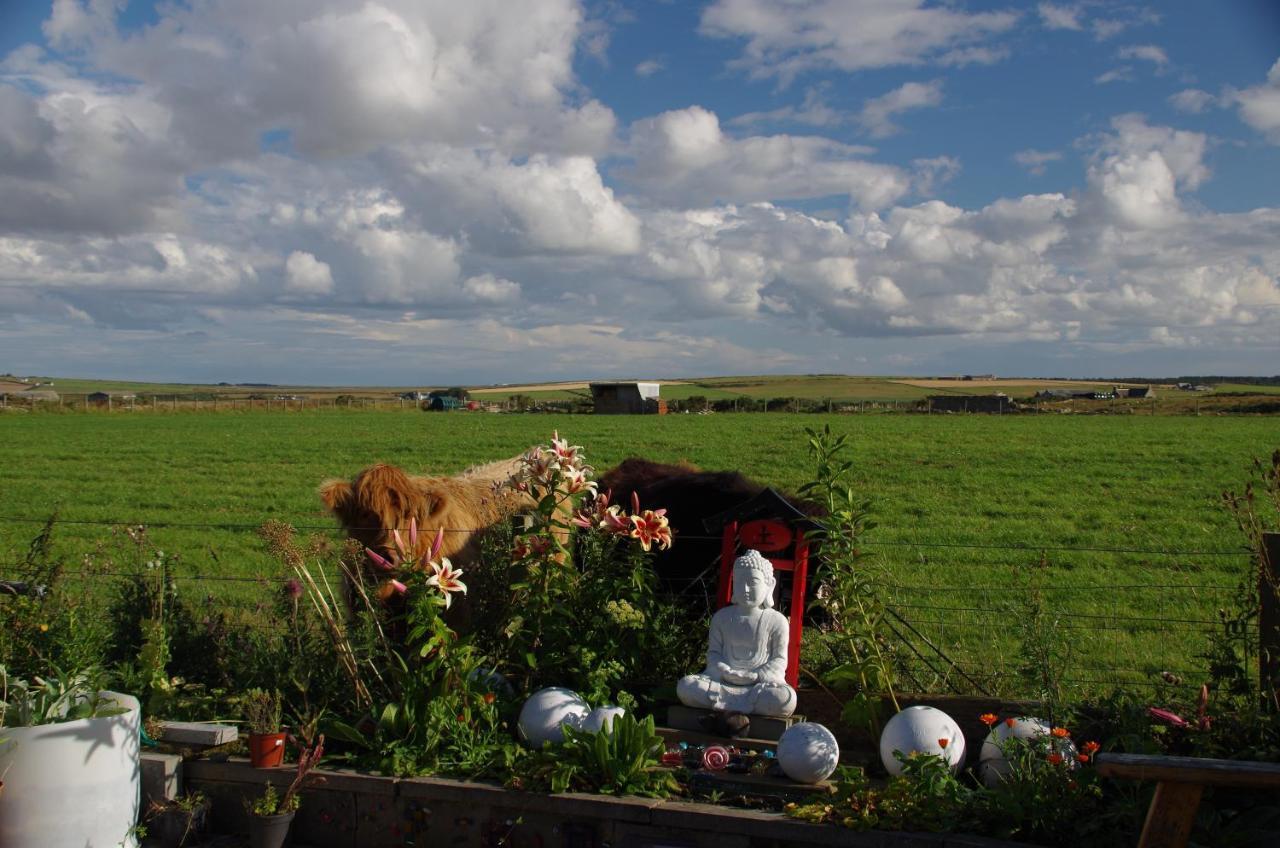 Bed and Breakfast Carrig Lios Турсо Экстерьер фото